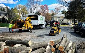Best Firewood Processing and Delivery  in Swansboro, NC